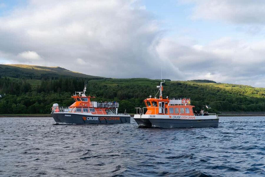 Fort William: Seal Island Boat Tour - Key Highlights You Will Care About