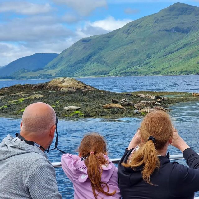 Fort William: Seal Island Boat Tour - Who Should Book This Cruise, and Who Might Skip It