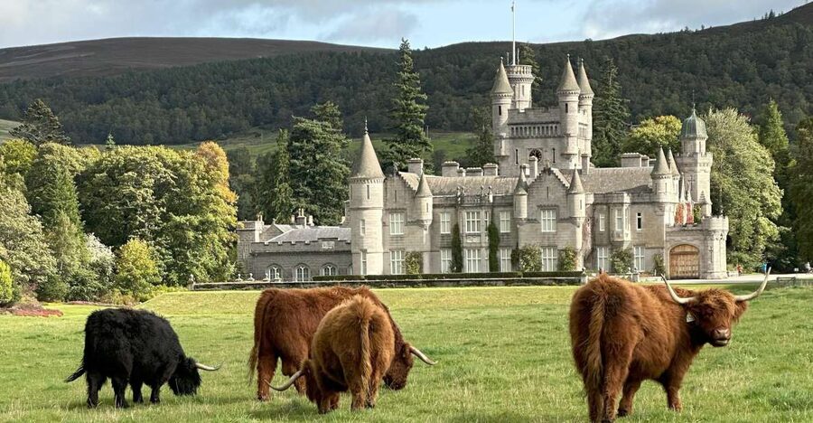 From Aberdeen: Balmoral Estate & Royal Deeside Tour - Tomnavarie Stone Circle: why this 4,500-year-old site still feels close
