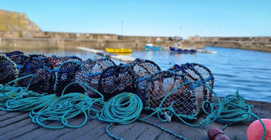 From Aberdeen: Coastal Villages of Aberdeenshire Tour - Gardenstown and Crovie: tiny harbours and that cliff-foot view