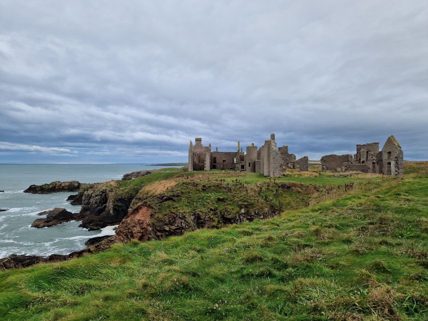 From Aberdeen: Coastal Villages of Aberdeenshire Tour - Newburgh Seal Beach: the River Ythan’s seal habitat