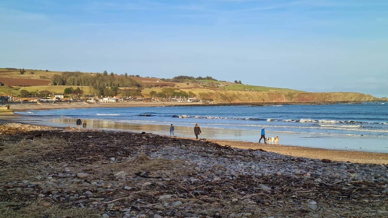 From Aberdeen: Guided Day Trip, Coast & Castle Visit - Greyhope Bay and Girdleness Lighthouse: Sea Views and Possible Wildlife