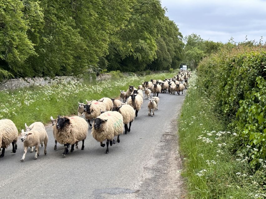 From Bath: Cotswolds Private Day Tour with Pickup - Tetbury and the shopping pause that feels human