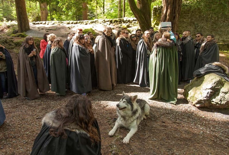From Belfast: Game of Thrones Winterfell Locations Tour - Price and value for a $66 full-day filming locations tour