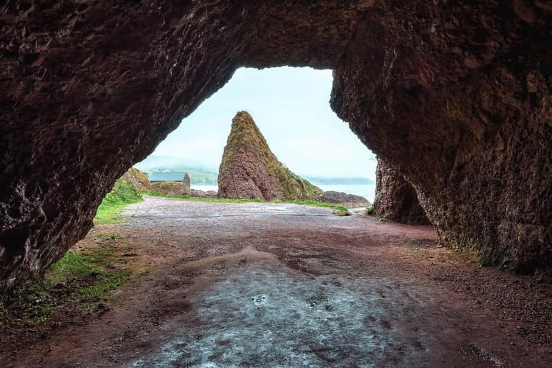 From Belfast: Giant's Causeway Guided Day Tour With Castles - Giant’s Causeway: walking among 40,000 basalt columns