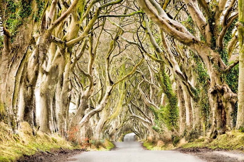 From Belfast: Giant's Causeway & Titanic Experience Belfast - Should you book this Belfast GOT and Giant’s Causeway tour?