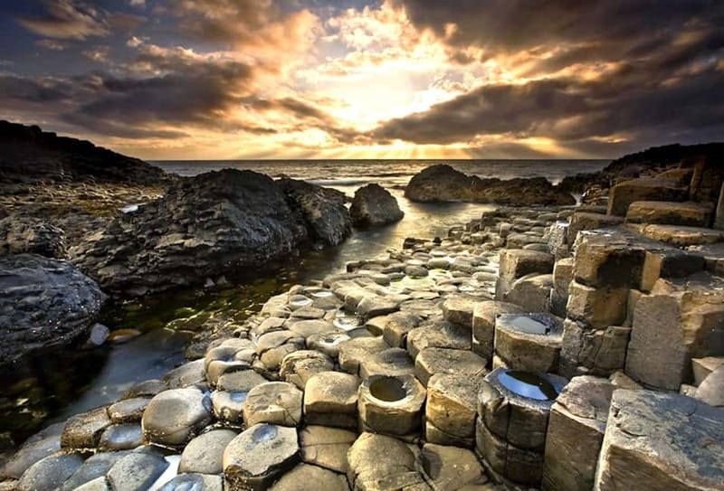 From Belfast: Iron Islands & Giant's Causeway - Dark Hedges: 200 year old beech trees where Arya and Gendry escaped