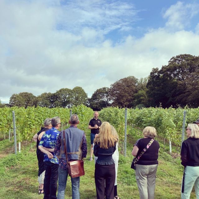 From Brighton: Sussex Wine Tour on a Vintage Bus with Lunch - Stop two: another tasting, plus time to relax and browse