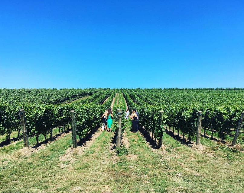 From Brighton: Sussex Wine Tour on a Vintage Bus with Lunch - What to wear, what to bring, and who this tour fits best