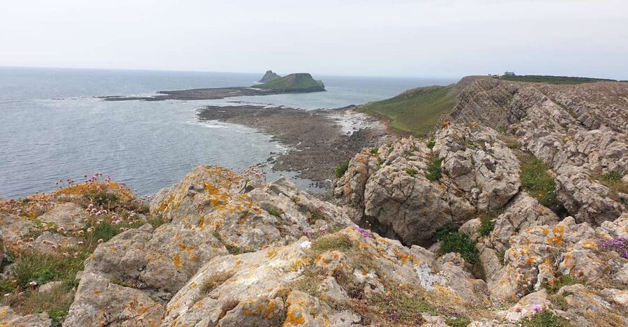 From Cardiff: Mumbles and Gower Peninsular Tour - Key highlights you will notice fast