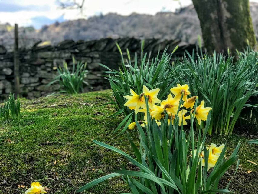 From Chester: Lake District Full-Day Guided Sightseeing Tour - Ambleside Time: Shopping, Cafes, and Following Side Roads