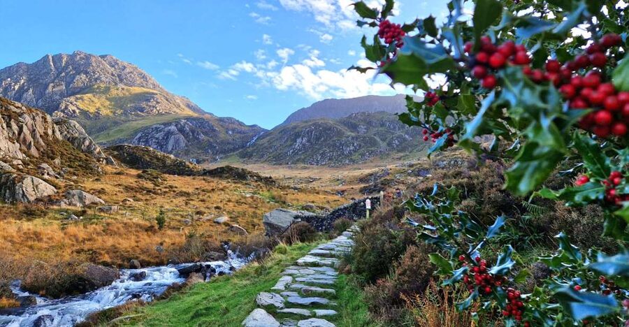 From Chester: North Wales and Caernarfon Castle Tour - Conwy: the hour that lets you actually wander (not just stare)