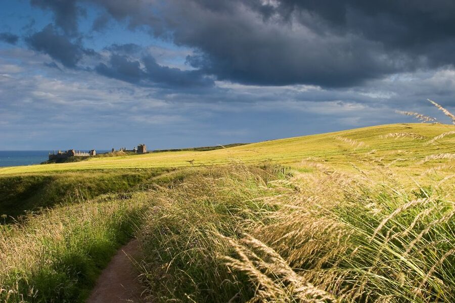 From Edinburgh: Glamis and Dunnottar Castles Tour in Italian - Key things to know before you go