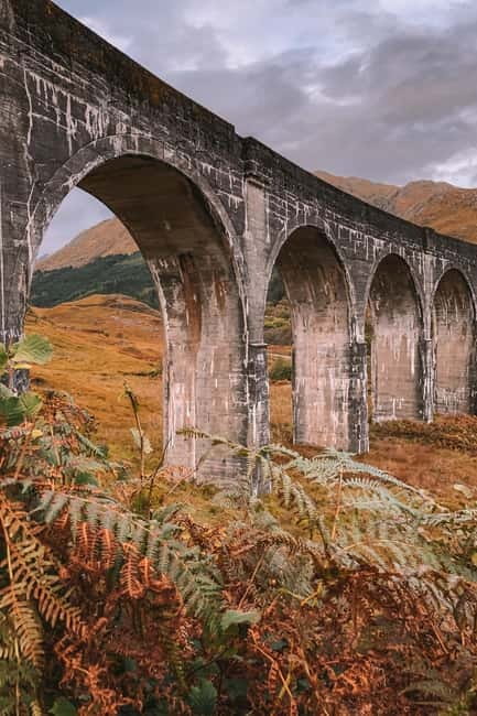 From Edinburgh: Glenfinnan, Fort William and Highland Cows - Taste Perthshire and the Highland cow payoff