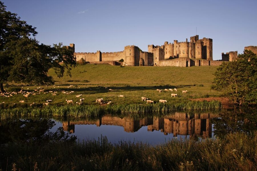 From Edinburgh: Holy Island, Alnwick Castle & Northumbria - Key things to know before you go