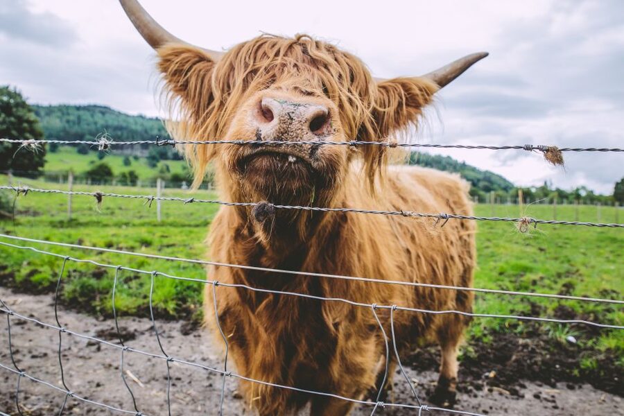 From Edinburgh: Isle of Skye and Outer Hebrides 6-Day Tour - Getting around, what the B&B setup and audio guide mean for your comfort