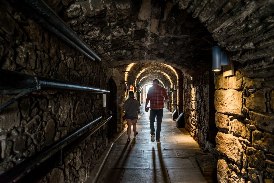 From Edinburgh: Loch Lomond, Kelpies & Stirling Castle Tour - Loch Lomond National Park and the Balmaha walk that gives you breathing room