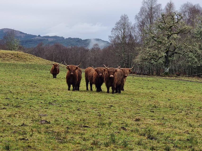 From Edinburgh: Loch Ness Private Day Tour with Transfers - A private Loch Ness day from Edinburgh, with stops that make sense