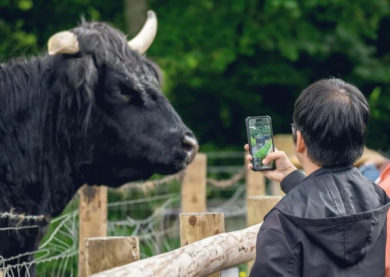 From Edinburgh: Stirling Castle, Kelpies and Loch Lomond - What This Stirling and Loch Lomond Day Trip Actually Gives You