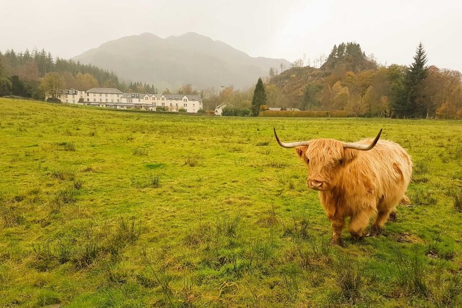 From Glasgow: Loch Lomond, Trossachs & Stirling Castle Tour - Stirling Castle: royal names, big views, and time to wander