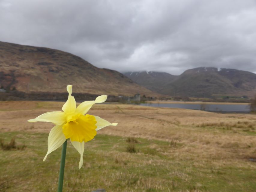 From Glasgow: Scottish Highlands & Isle of Skye 5-Day Tour - Guides Really Matter: The Storytelling That Turns Stops Into Meaning