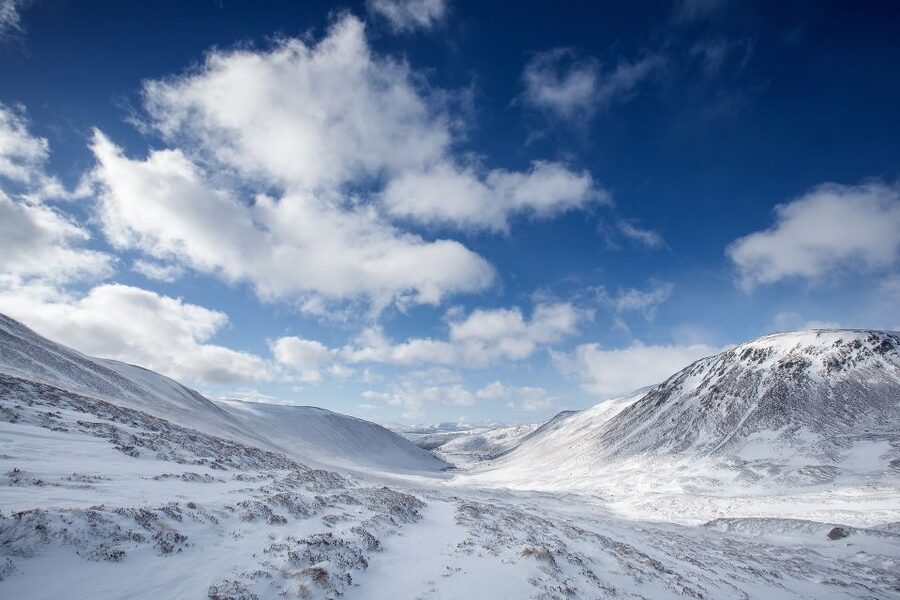 From Inverness: Cairngorms National Park and Whisky Tour - From Inverness to the Cairngorms: A Day Built Around Time Outside