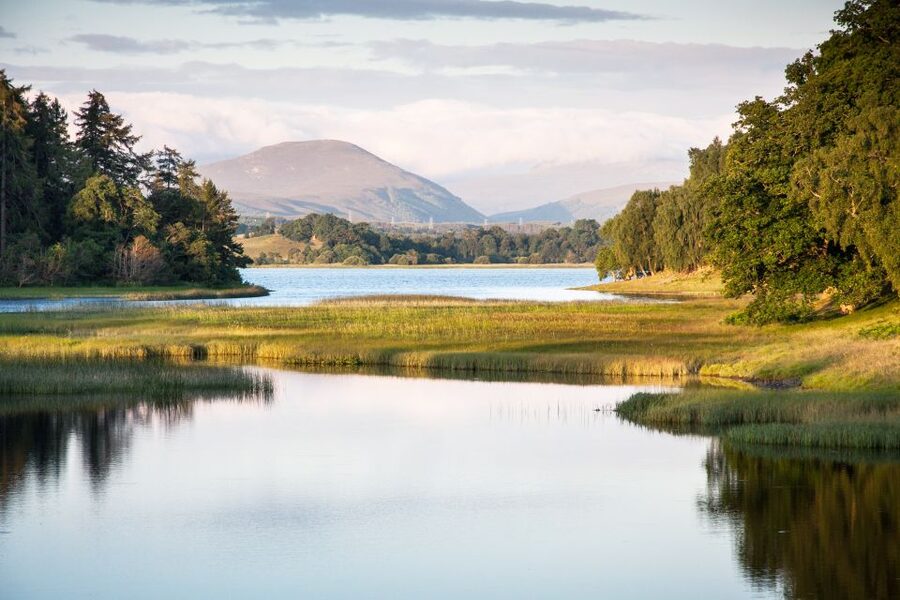 From Inverness: Cairngorms National Park and Whisky Tour - Carrbridge and the Old Packhorse Bridge: Small Town Energy, Big Photo Moments
