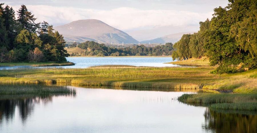 From Inverness: Cairngorms National Park and Whisky Tour - Aviemore Lunch Stop: Plan for Food on Your Own