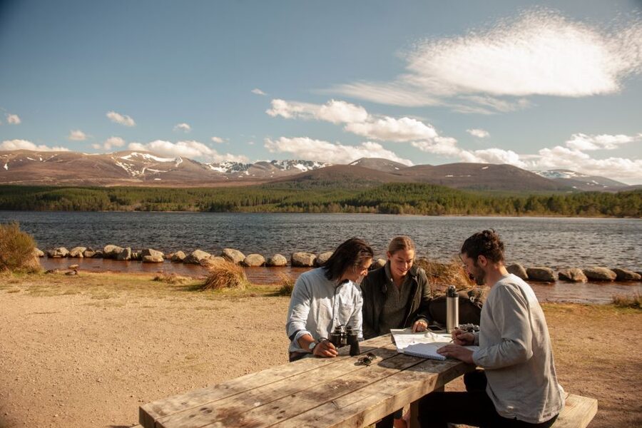 From Inverness: Cairngorms National Park and Whisky Tour - Glenmore Forest Park and Loch Morlich: Walk the Beach or Keep It Easy