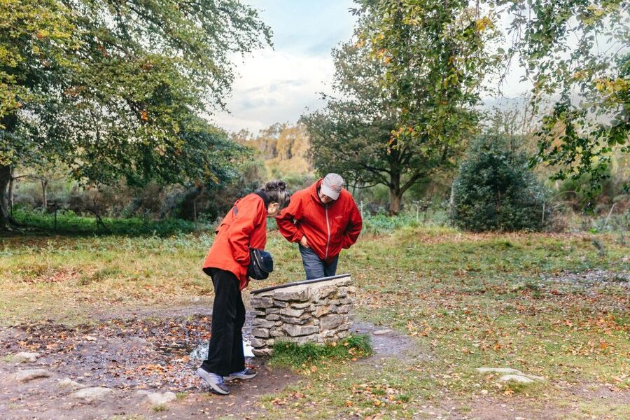 From Inverness: Glen Affric, Culloden, and Clava Cairns Tour - Key Highlights You Will Actually Feel