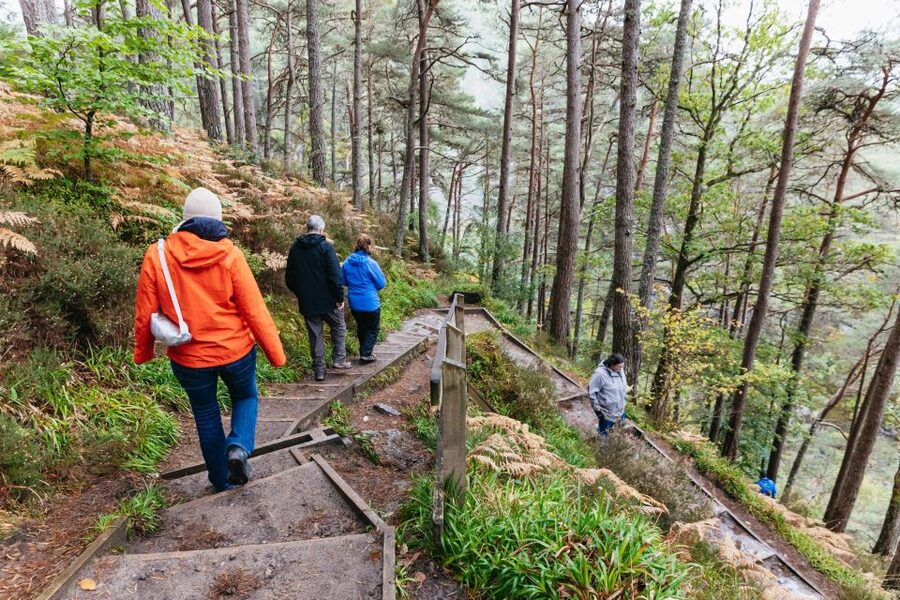 From Inverness: Loch Ness Guided Day Trip - Foyers Forest Walk to Falls of Foyers, Burns territory