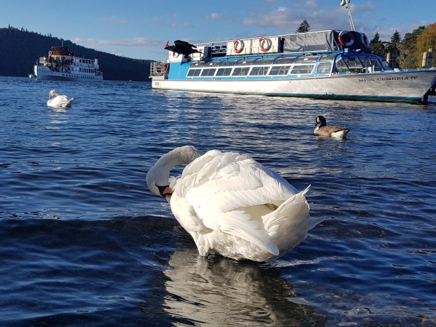 From Liverpool: Lake District Sightseeing Adventure Day Trip - Getting out of Liverpool: the 9:15 launch and comfortable ride