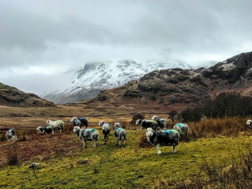 From Liverpool: Lake District Sightseeing Adventure Day Trip - Little Langdale and Great Langdale: getting the feel without a long hike
