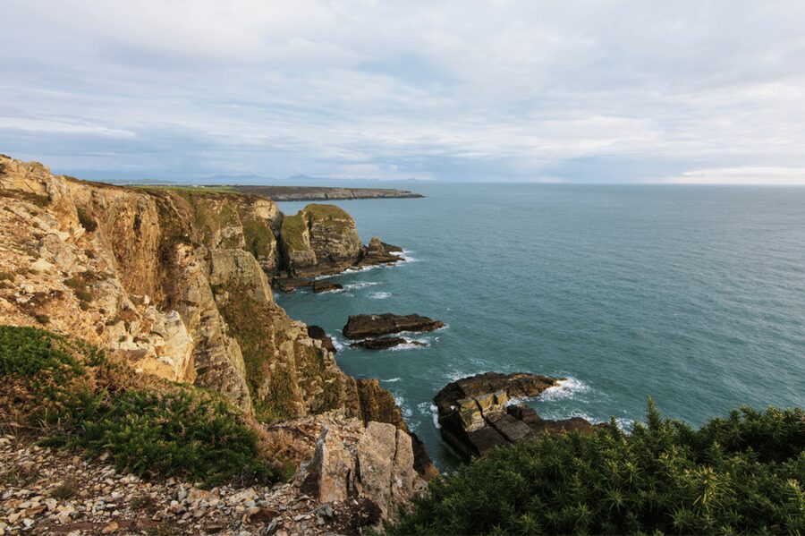 From Liverpool: North Wales and Caernarfon Castle Tour - Key highlights worth planning around