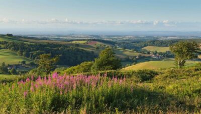 Canterbury & White Cliffs of Dover Tour