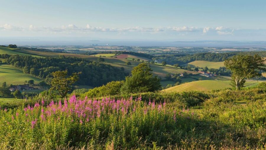 From London: Canterbury & White Cliffs of Dover Tour - Canterbury Cathedral: where the story begins with Augustine and England’s spiritual roots