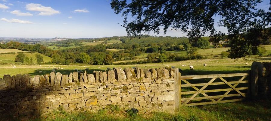From London: Full-Day Cotswolds Small-Group Tour - Bourton-on-the-Water: river bridges, stone cottages, and lunch on site