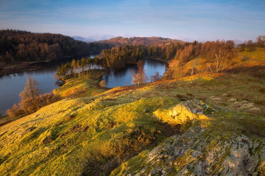 From London: Lake District Tour with Cream Tea & Cruise - Cream tea at Lindeth Howe: where the story turns cozy