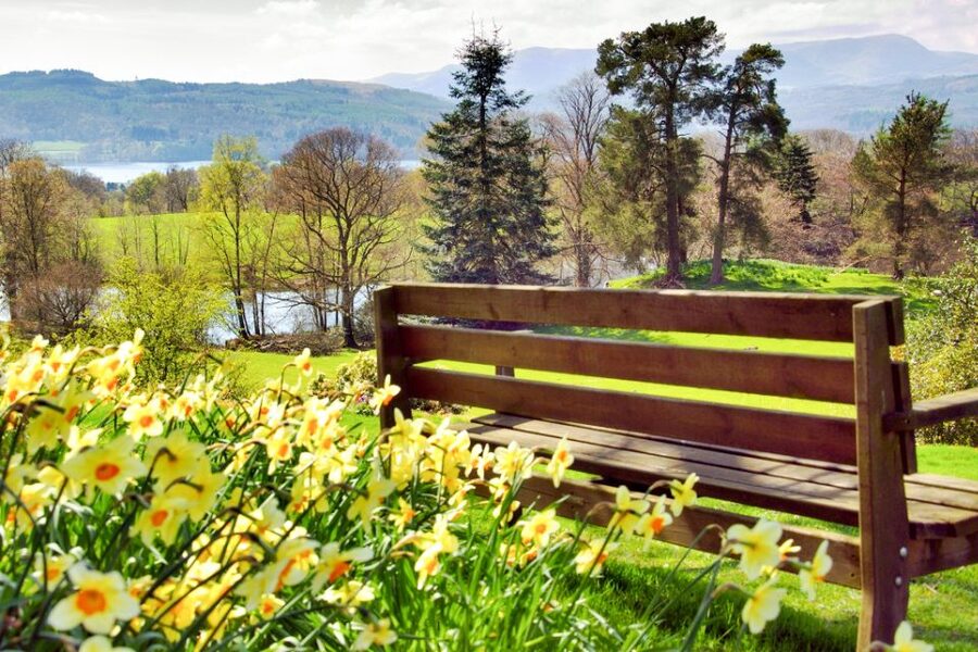 From London: Lake District Tour with Cream Tea & Cruise - Price and value: why $438 might feel fair