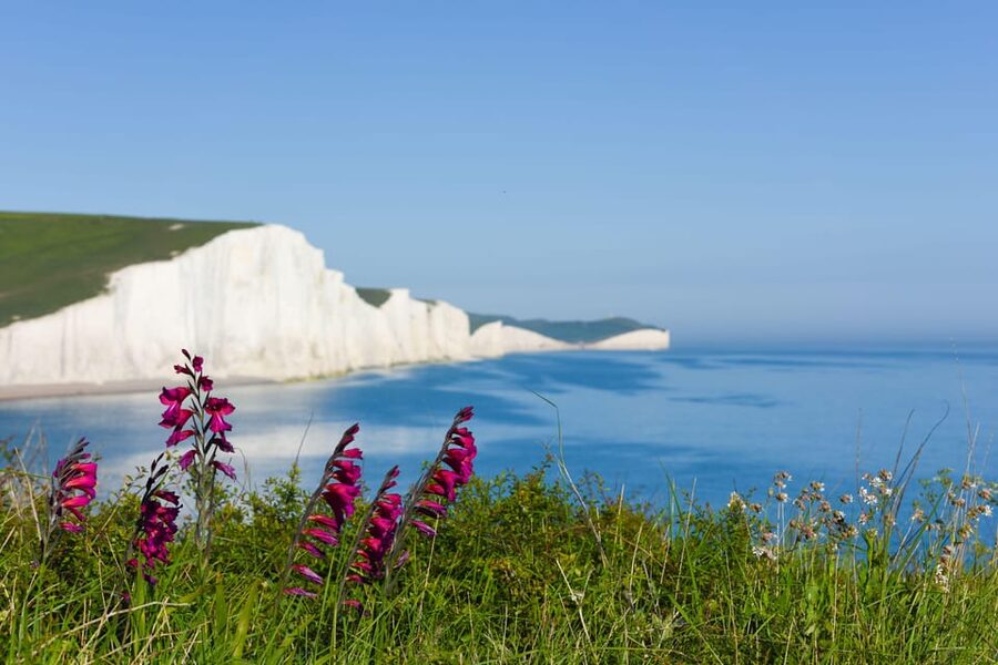 From London: Seven Sisters and Brighton Full-Day Tour - Seaford Head, the best angles plus film location stories