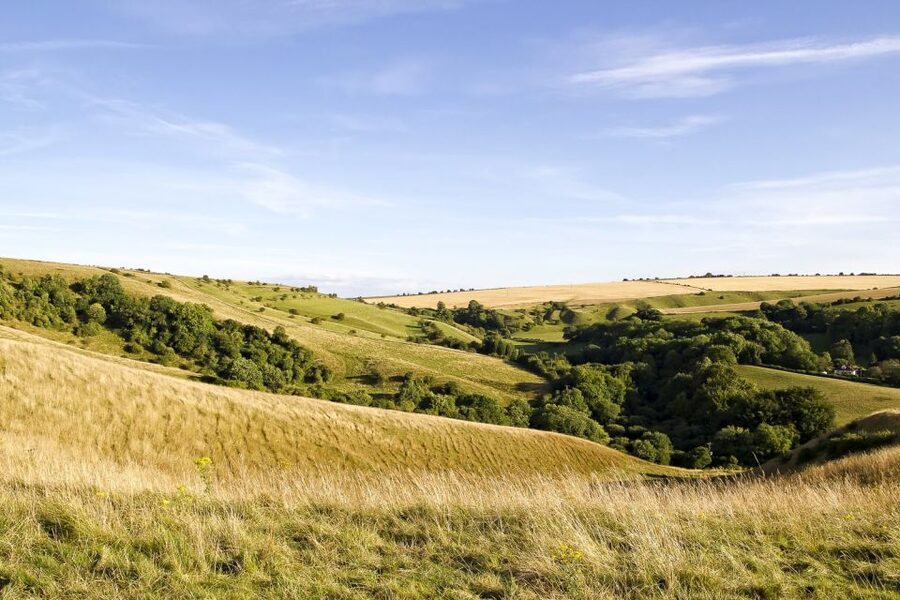 From London: Stonehenge and Bath Day Trip with Ticket - Free Time in Bath: How to Use It Without Stress