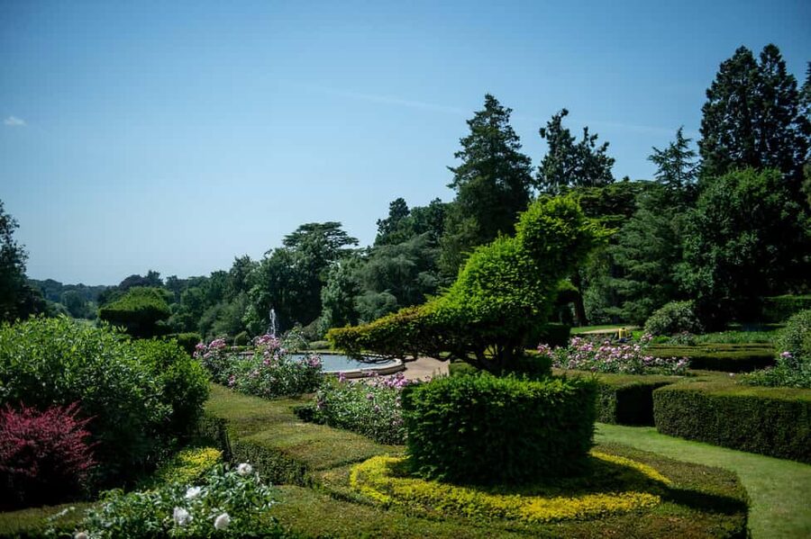From London: Warwick Castle Day Trip by Rail - Living History Displays: Jousting, Archery, and Birds of Prey