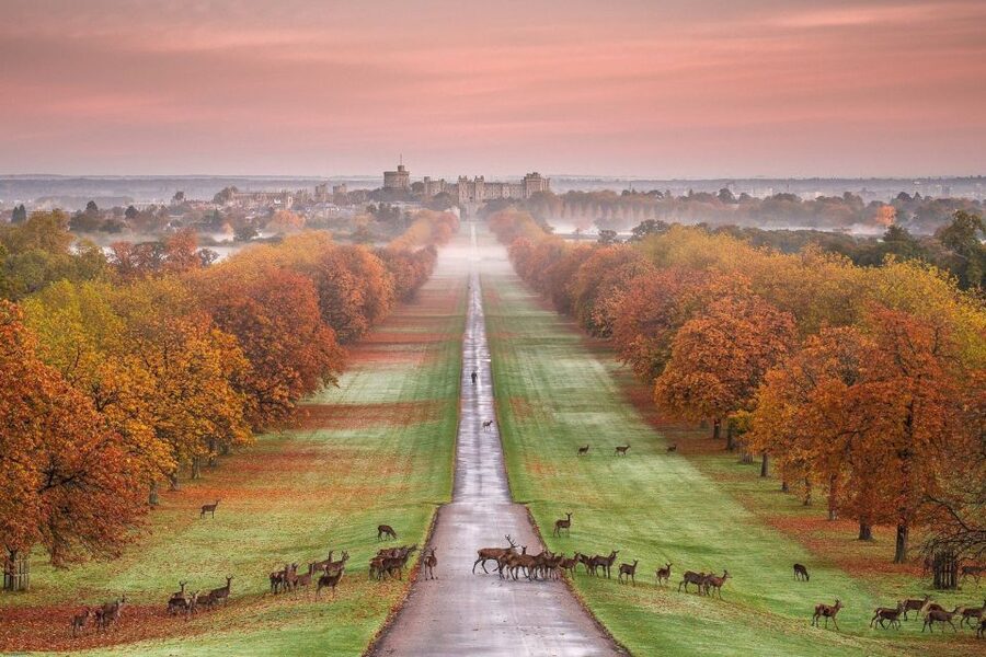 From London: Windsor Castle Royal Afternoon Sightseeing Tour - Who should book this Windsor Castle Royal Afternoon tour?