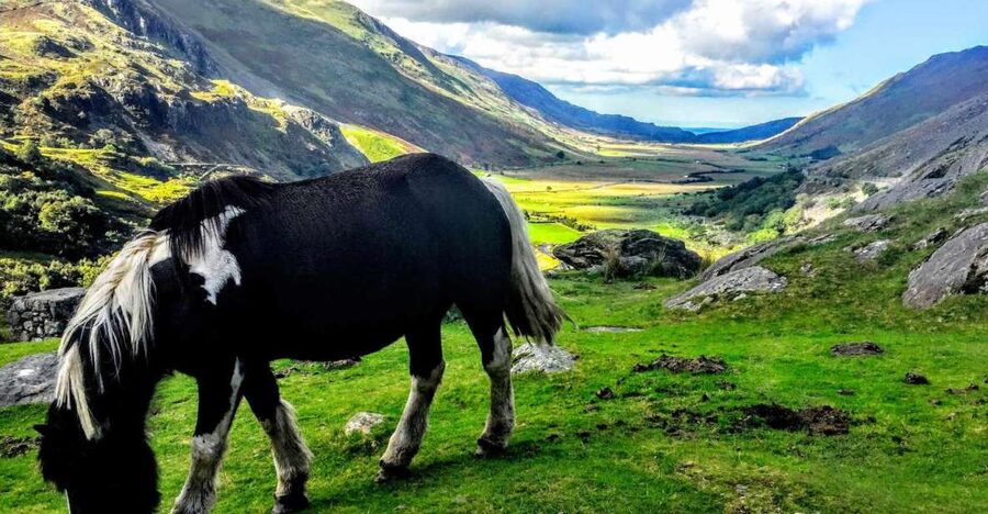 From Manchester: North Wales Sightseeing Adventure Day Trip - How the pacing feels on a 9-hour day