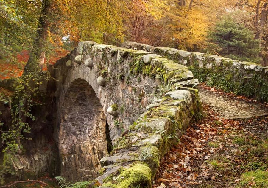 From Newcastle: Game of Thrones Tollymore Forest Trek - Is this trek for you? Suitability and health limits
