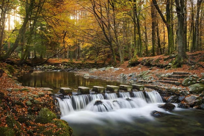 From Newcastle: Game of Thrones Tollymore Forest Trek - The 1.5-hour itinerary: three Game of Thrones stops in one forest loop