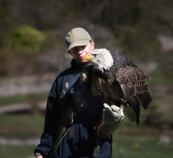 From Windermere: Mountain Passes & Muncaster Castle - The Medieval Weapons Hall and the 2pm Birds of Prey Show