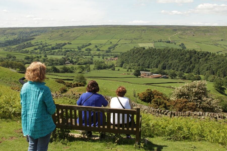From York: Day Trip to Whitby and The North York Moors - Whitby West Cliff: Cook Landmarks and a Drop-Off Strategy