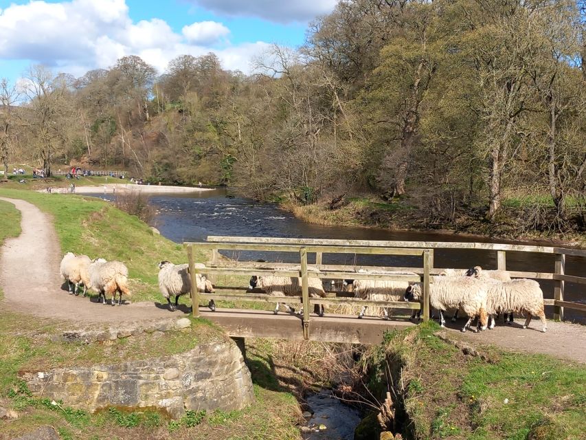 From York: Herriot and Yorkshire Dales Day Trip - Crossing Masham Moor Toward Nidderdale and Gouthwaite Reservoir