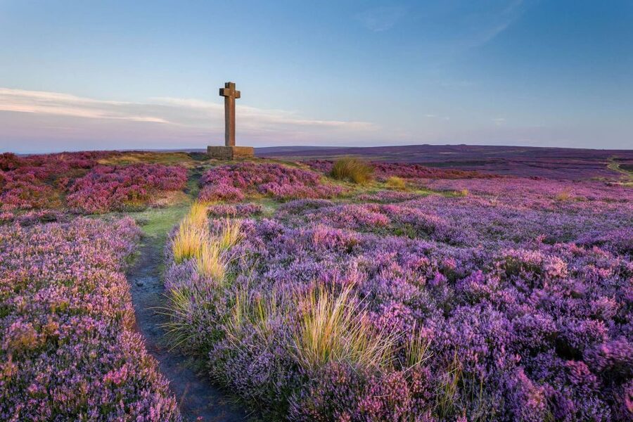 From York: Moors, Whitby, and the Yorkshire Steam Railway - Howardian Hills Return and Castle Howard Views